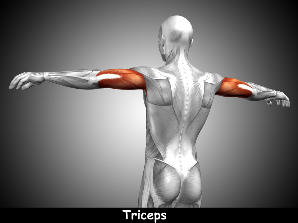 Tricipiti tonici: workout per braccia forti e sode