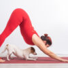 Puppy Yoga: un mix di tenerezza e regolamenti
