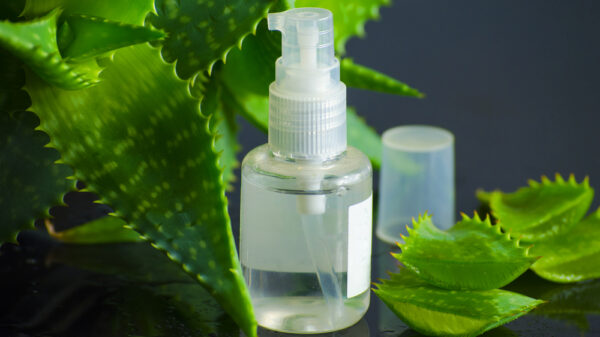 Aloe vera: il miracolo della natura per pelle, viso e corpo