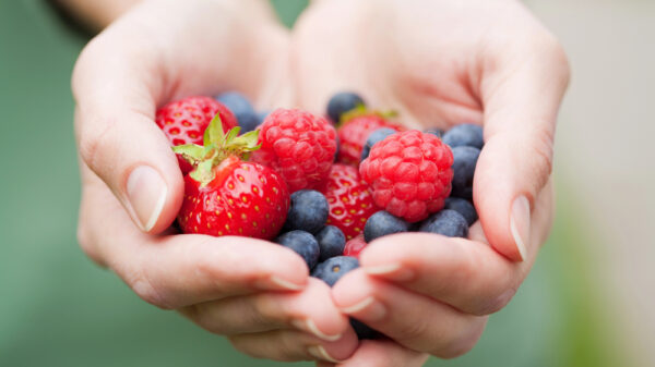 I benefici dei frutti rossi