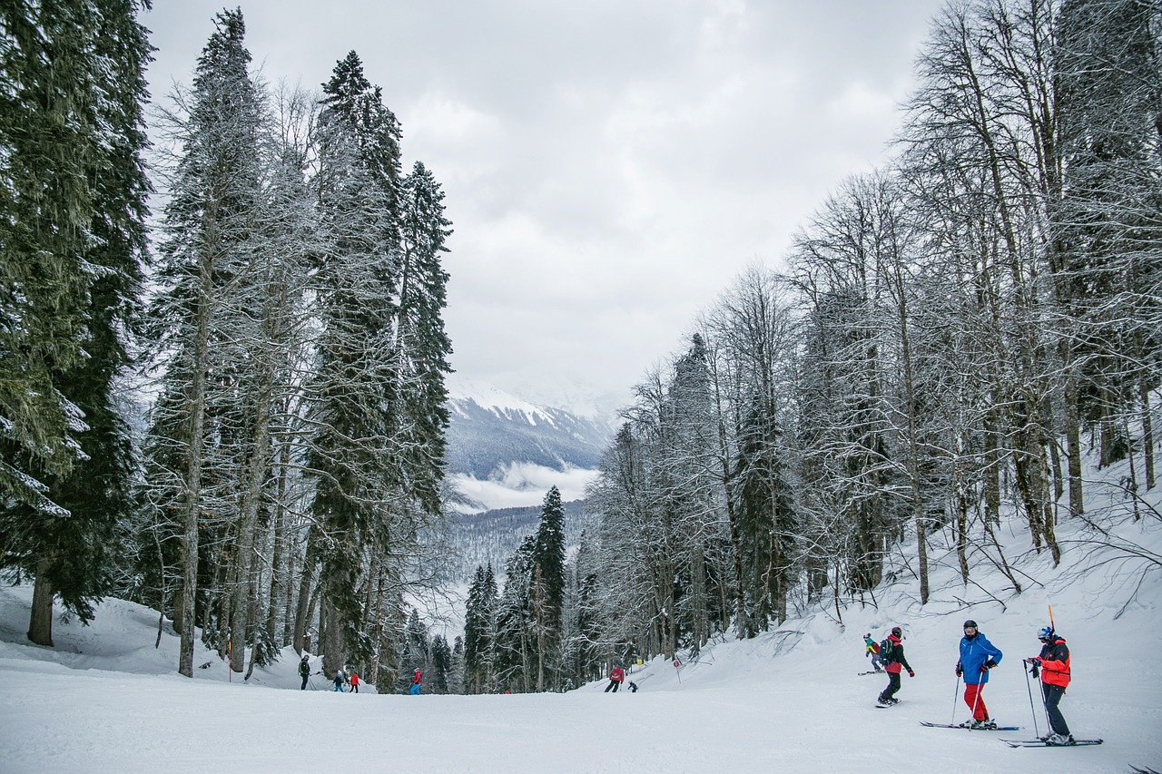 L’arnica e la terapia del calore: rimedi naturali per gli sport invernali